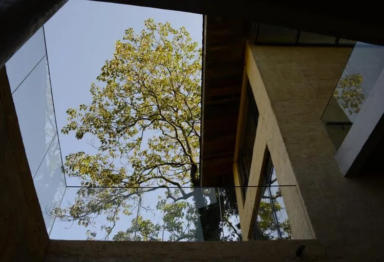 BIM Architecture | Livable and Tourable, Between Half Mountain and Rice Fields: Architectural Design of Bagu Su Ji in Dianjiang, Chongqing/Sanwen Architecture