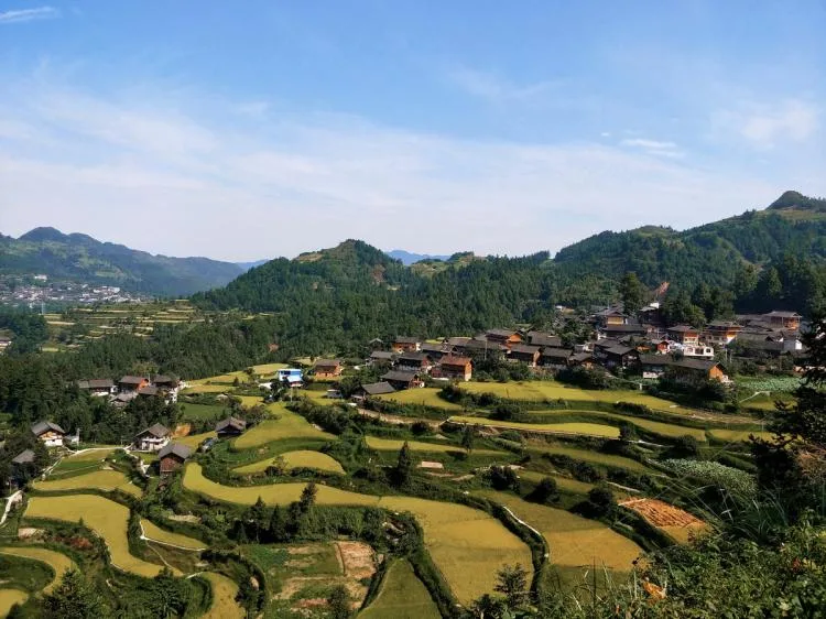 BIM Architecture | Growth and Dialogue: Guizhou Longtang Precision Poverty Alleviation Design Practice/Gad · line+studio