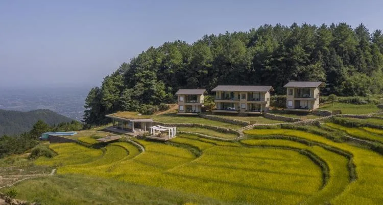 BIM Architecture | Livable and Tourable, Between Half Mountain and Rice Fields: Architectural Design of Bagu Su Ji in Dianjiang, Chongqing/Sanwen Architecture