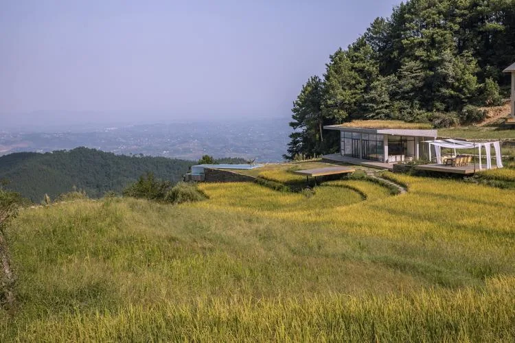BIM Architecture | Livable and Tourable, Between Half Mountain and Rice Fields: Architectural Design of Bagu Su Ji in Dianjiang, Chongqing/Sanwen Architecture