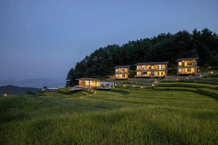 BIM Architecture | Livable and Tourable, Between Half Mountain and Rice Fields: Architectural Design of Bagu Su Ji in Dianjiang, Chongqing/Sanwen Architecture