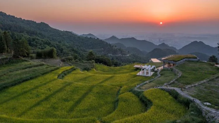 BIM Architecture | Livable and Tourable, Between Half Mountain and Rice Fields: Architectural Design of Bagu Su Ji in Dianjiang, Chongqing/Sanwen Architecture