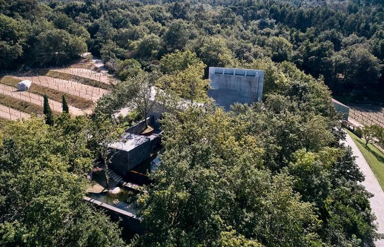 BIM Architecture | A concrete chapel nestled in the woods, serene, elegant, and full of natural atmosphere, by Nicholas Burns, Portugal
