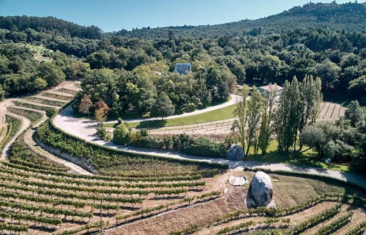 BIM Architecture | A concrete chapel nestled in the woods, serene, elegant, and full of natural atmosphere, by Nicholas Burns, Portugal