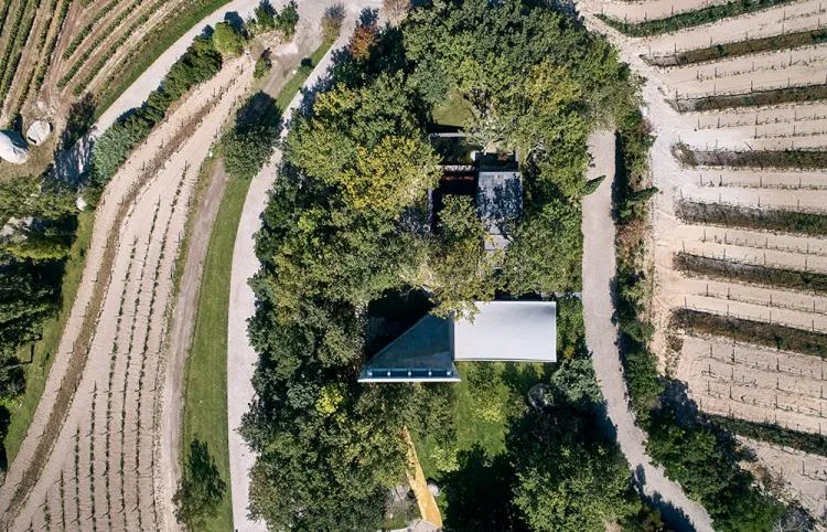 BIM Architecture | A concrete chapel nestled in the woods, serene, elegant, and full of natural atmosphere, by Nicholas Burns, Portugal