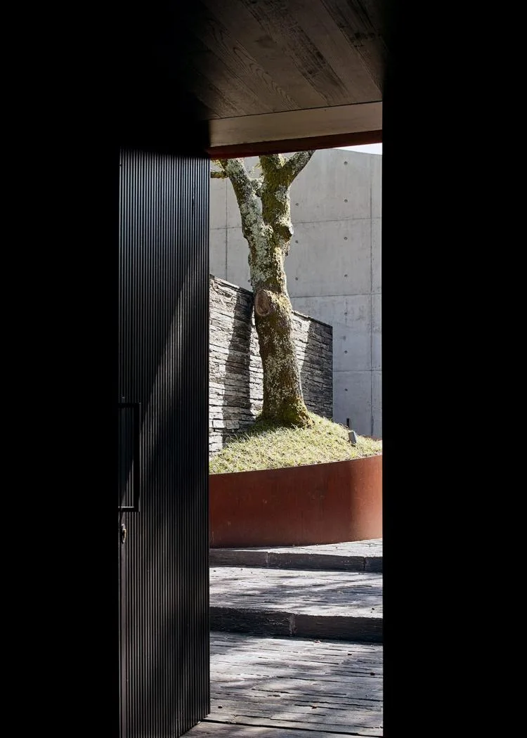 BIM Architecture | A concrete chapel nestled in the woods, serene, elegant, and full of natural atmosphere, by Nicholas Burns, Portugal