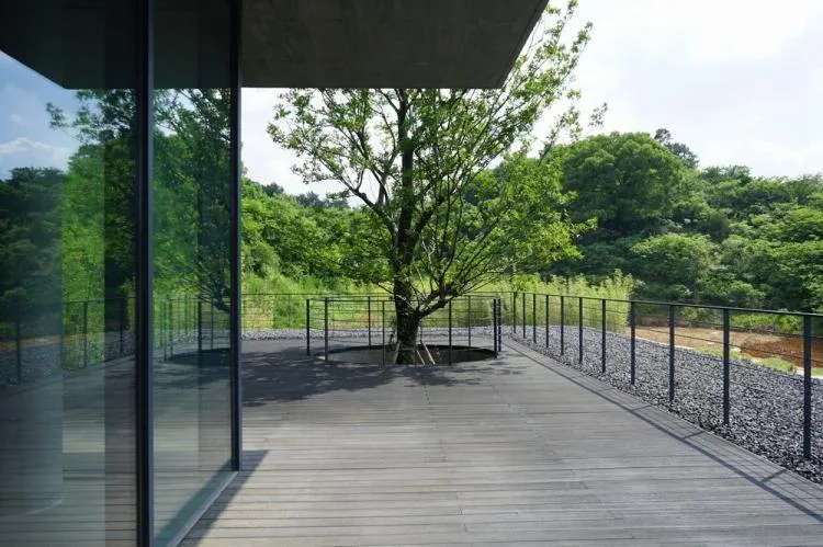 BIM Architecture | Defined Landscape: Fishing Village Tea House/Meng Fanhao - ad x line+