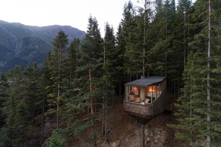 BIM Architecture | Norwegian 'Bird's Nest' style hut, supported by a tree trunk for a 15 ㎡ space/Helen& Hard
