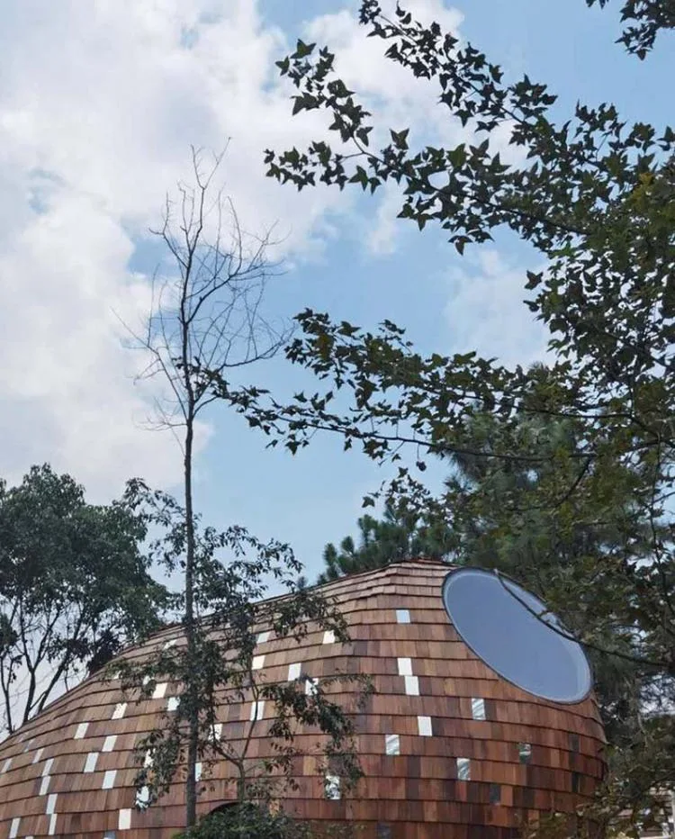 BIM architecture | Seed wooden houses/fallow buildings