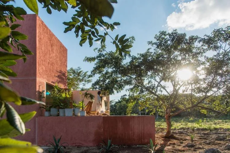 BIM Architecture | Mexican House of Cards/TACO Taller de Arquitectura Contextual