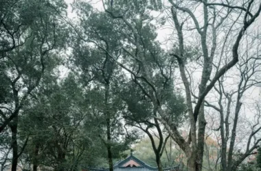 BIM-Driven Renovation of Liangshu Art Museum in Bayi Park, Nanchang by XAA Architects-BIM WORLD