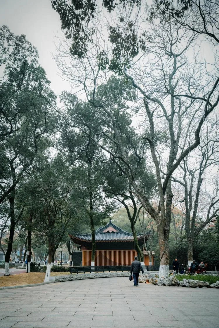 BIM Architecture | Renovation of Liangshu Art Museum in Bayi Park, Nanchang City/XAA Architectural Firm