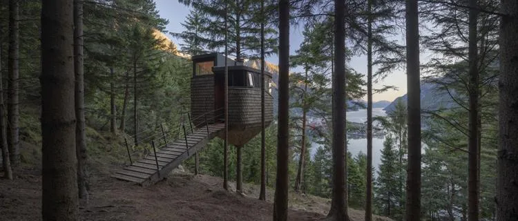 BIM Architecture | Norwegian 'Bird's Nest' style hut, supported by a tree trunk for a 15 ㎡ space/Helen& Hard