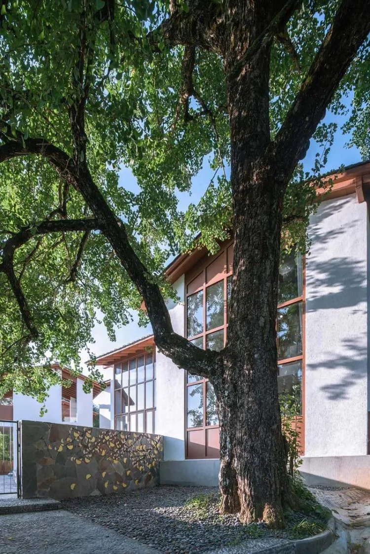 BIM Architecture | Gu Xing Shan She Homestay/Xiamen Pan Hua · Response Architecture Studio