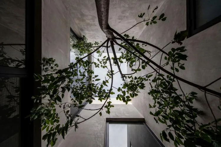 BIM Architecture | Empírea House/TACO Taller de arquitectura contextual