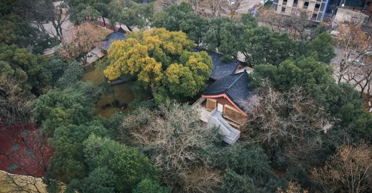 BIM Architecture | Renovation of Liangshu Art Museum in Bayi Park, Nanchang City/XAA Architectural Firm