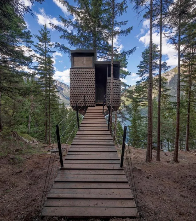 BIM Architecture | Norwegian 'Bird's Nest' style hut, supported by a tree trunk for a 15 ㎡ space/Helen& Hard