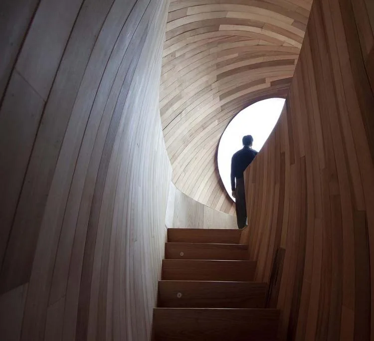 BIM architecture | Seed wooden houses/fallow buildings