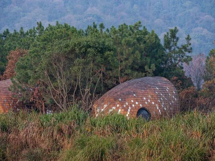 BIM architecture | Seed wooden houses/fallow buildings