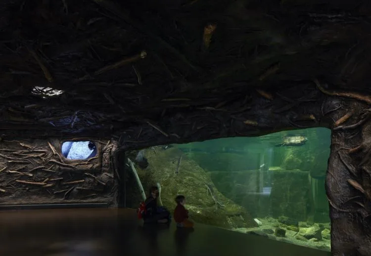 BIM Architecture | Montreal Dome Museum of Biological Sciences/Kanva