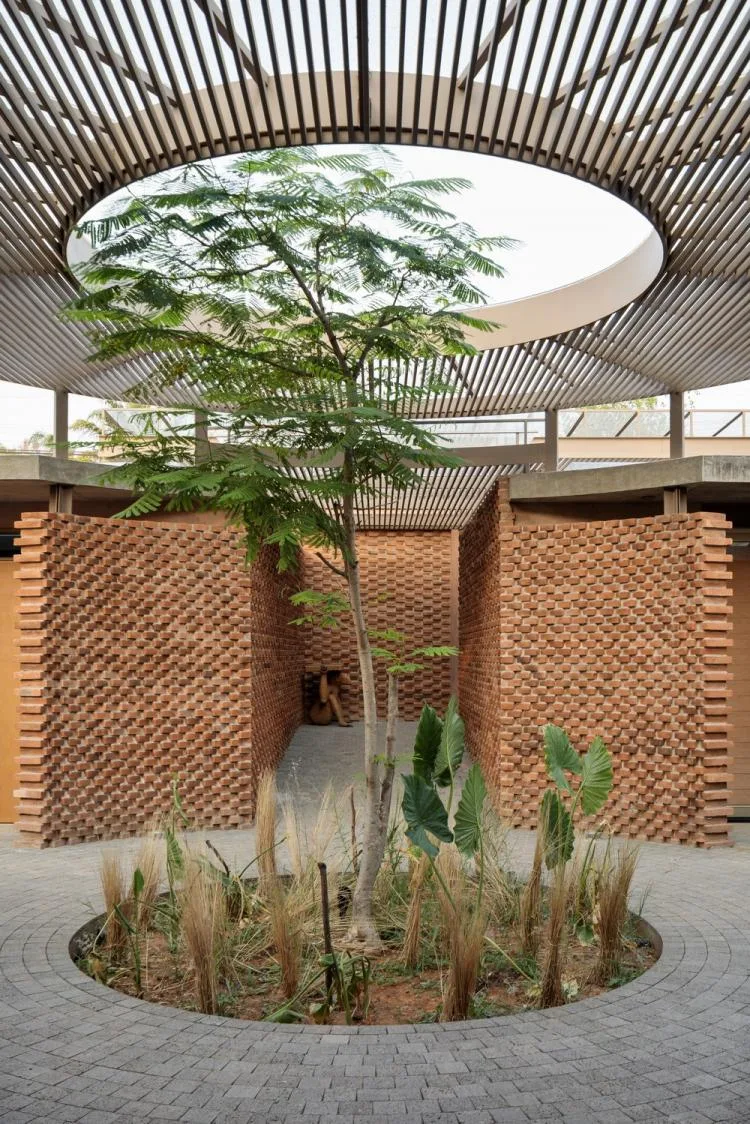 BIM Architecture | Sunshine, Wind, Plants and Houses UC House/Taller de Arquitectura y Diseño, Mexico