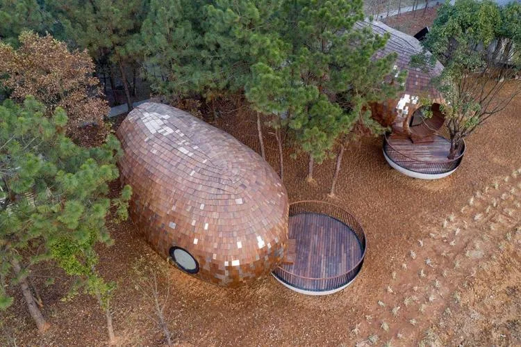 BIM architecture | Seed wooden houses/fallow buildings