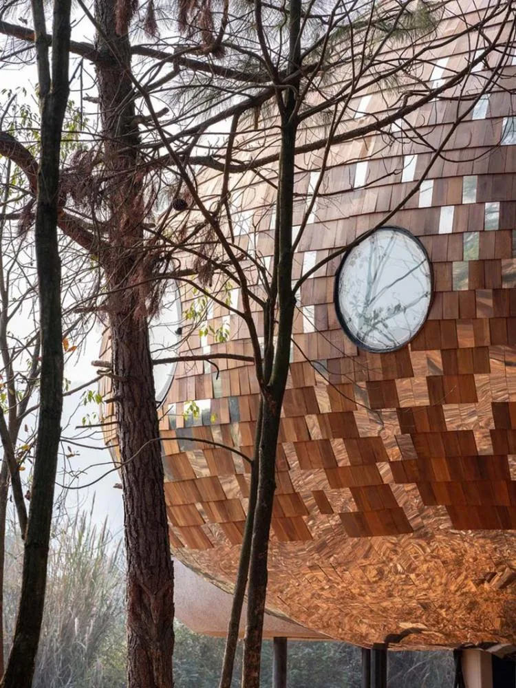 BIM architecture | Seed wooden houses/fallow buildings