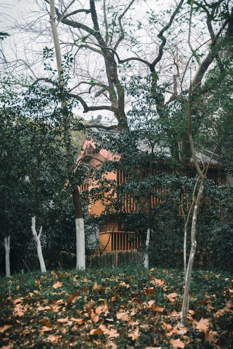 BIM Architecture | Renovation of Liangshu Art Museum in Bayi Park, Nanchang City/XAA Architectural Firm