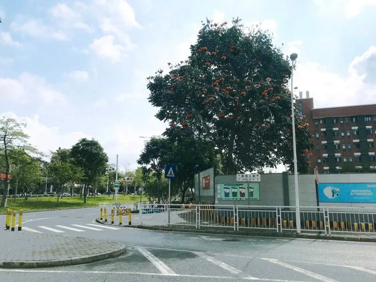 BIM Architecture | Moss Garden Bonsai: Shenzhen Bay First Kindergarten/Shenzhen Tianhua