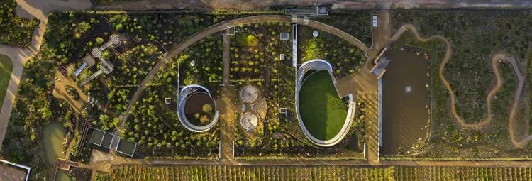 BIM Architecture | Circular Walk, South African Garden Cafe