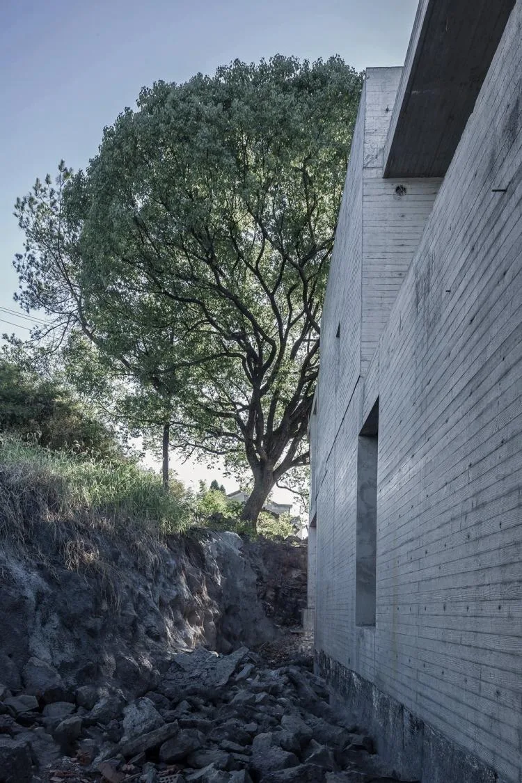 BIM Architecture | Defined Landscape: Fishing Village Tea House/Meng Fanhao - ad x line+