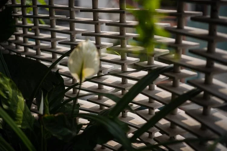 BIM Architecture | Ho Chi Minh City Flower Lady's Home, a cluster of natural green in the original/H.2