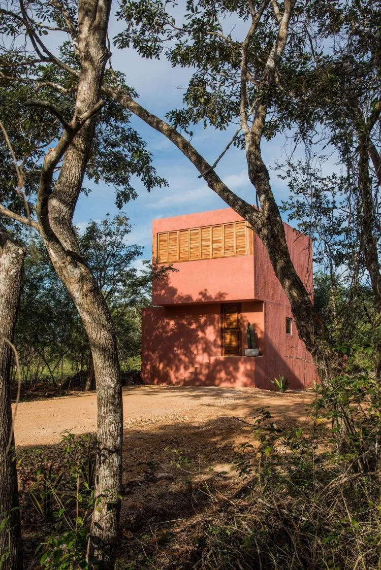 BIM Architecture | Mexican House of Cards/TACO Taller de Arquitectura Contextual