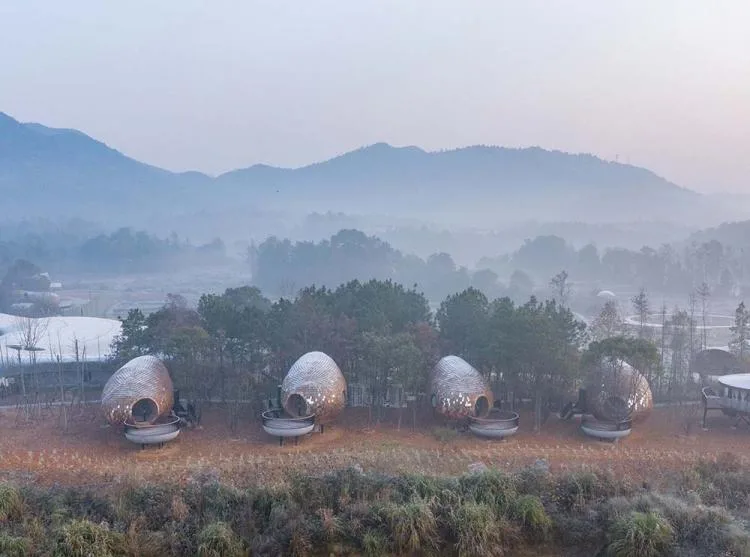 BIM architecture | Seed wooden houses/fallow buildings