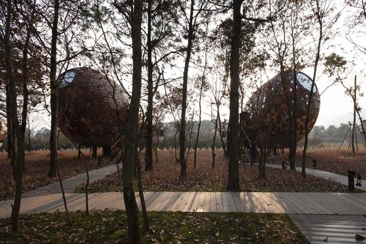 BIM architecture | Seed wooden houses/fallow buildings