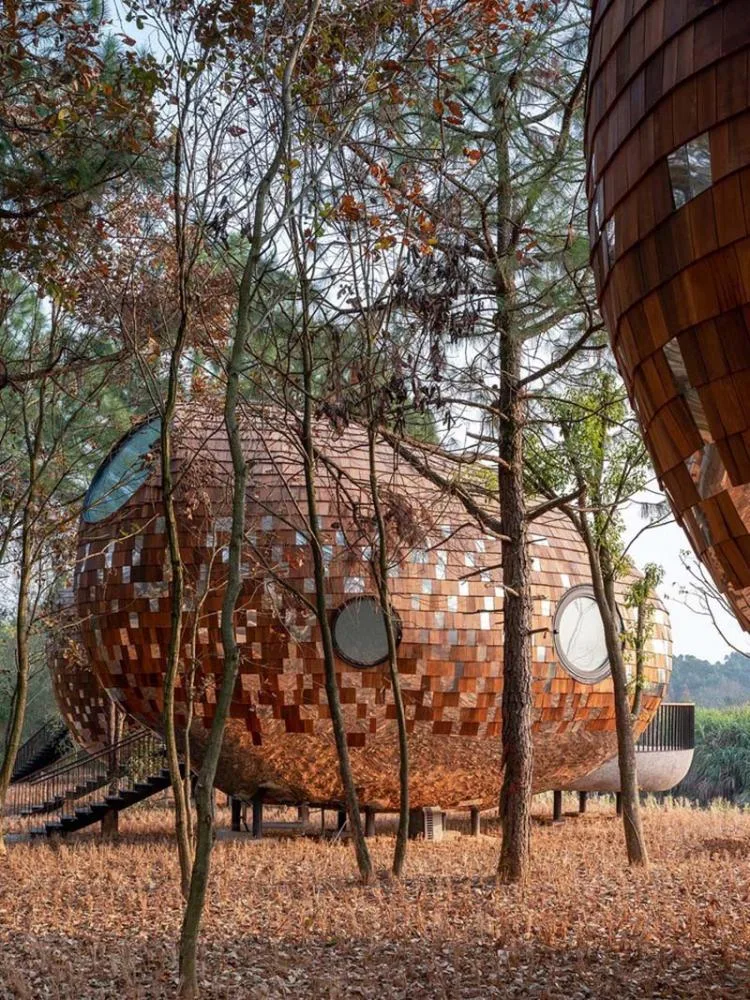 BIM architecture | Seed wooden houses/fallow buildings