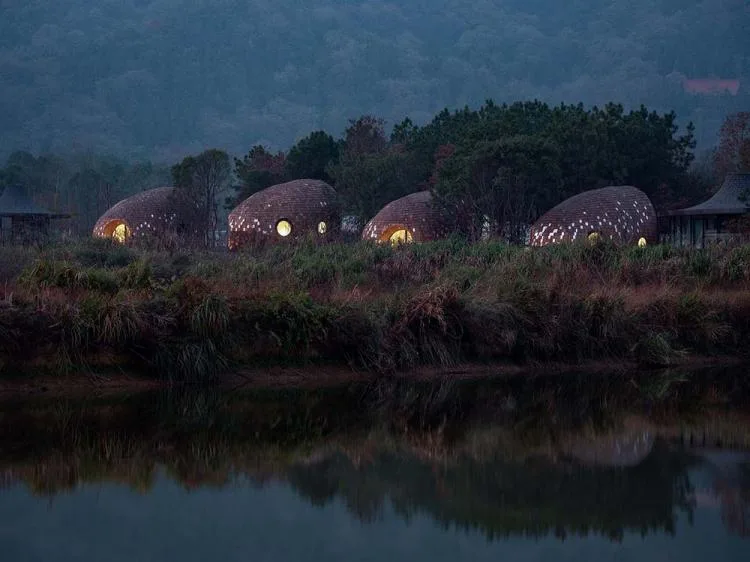 BIM architecture | Seed wooden houses/fallow buildings