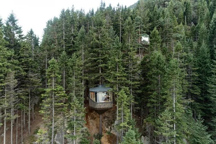 BIM Architecture | Norwegian 'Bird's Nest' style hut, supported by a tree trunk for a 15 ㎡ space/Helen& Hard