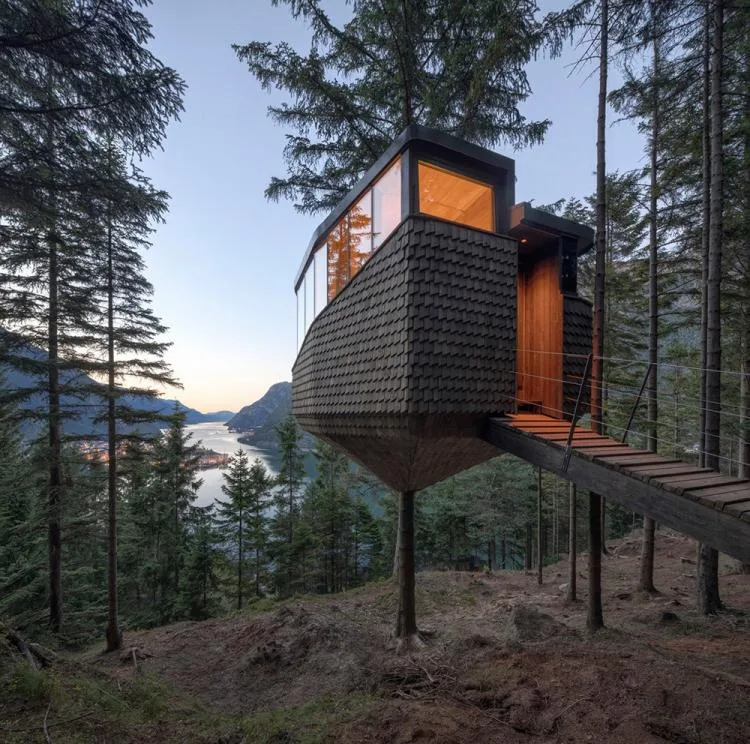 BIM Architecture | Norwegian 'Bird's Nest' style hut, supported by a tree trunk for a 15 ㎡ space/Helen& Hard