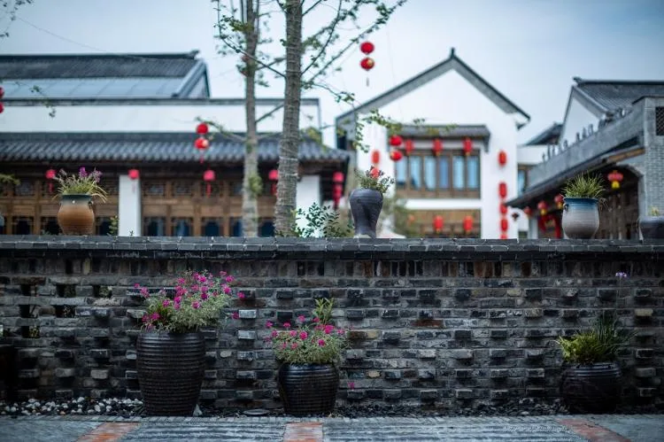 BIM Architecture | A Rural Construction Experiment on 'Longing for': Jiangba Ginkgo Plaza/Botao Design in Huai'an, Jiangsu