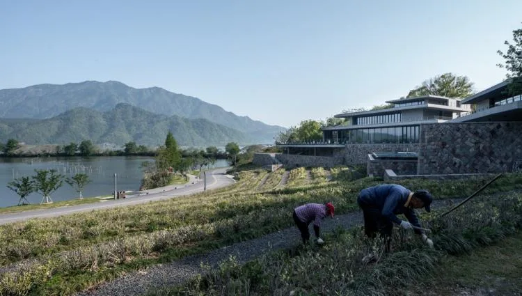 BIM Architecture | Defined Landscape: Fishing Village Tea House/Meng Fanhao - ad x line+