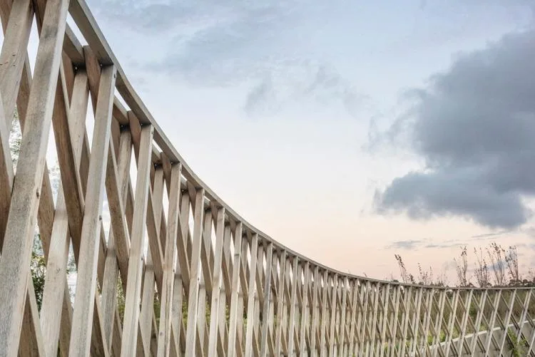 BIM Architecture | Circular Walk, South African Garden Cafe