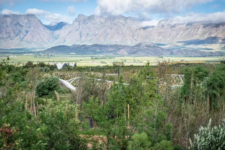 BIM Architecture | Circular Walk, South African Garden Cafe