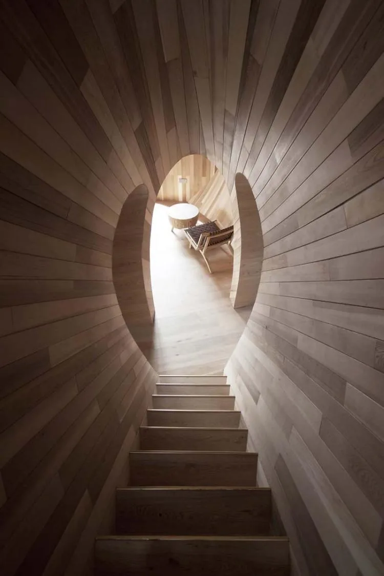 BIM architecture | Seed wooden houses/fallow buildings