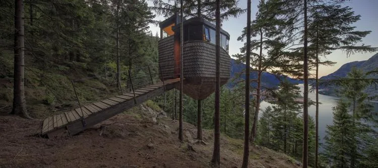 BIM Architecture | Norwegian 'Bird's Nest' style hut, supported by a tree trunk for a 15 ㎡ space/Helen& Hard