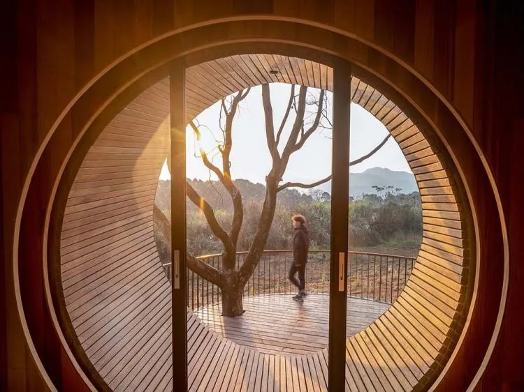 BIM architecture | Seed wooden houses/fallow buildings