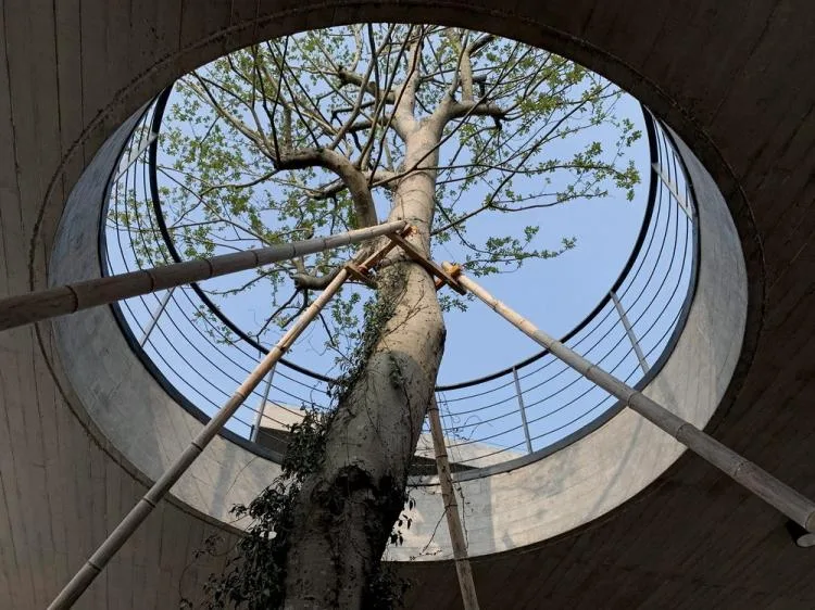 BIM Architecture | Defined Landscape: Fishing Village Tea House/Meng Fanhao - ad x line+