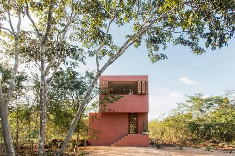 BIM Architecture | Mexican House of Cards/TACO Taller de Arquitectura Contextual