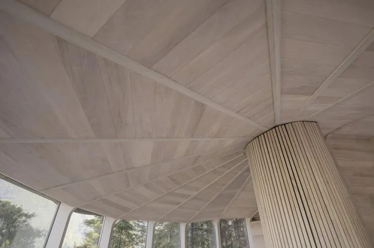 BIM Architecture | Norwegian 'Bird's Nest' style hut, supported by a tree trunk for a 15 ㎡ space/Helen& Hard