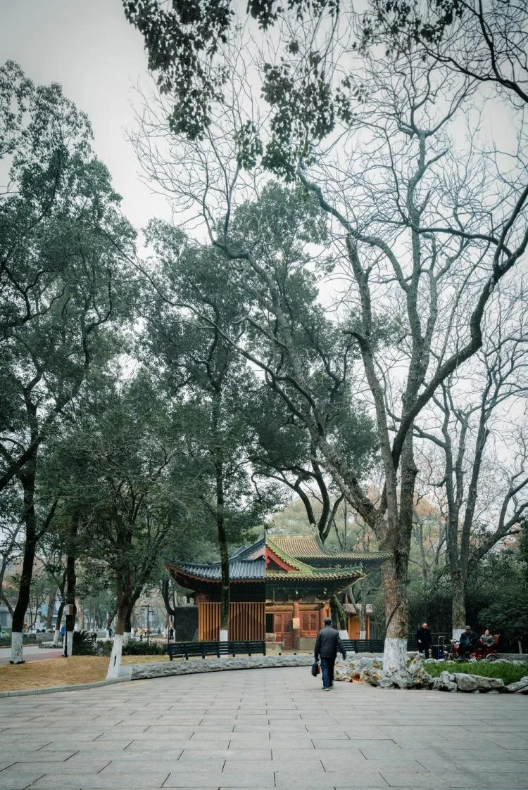 BIM Architecture | Renovation of Liangshu Art Museum in Bayi Park, Nanchang City/XAA Architectural Firm